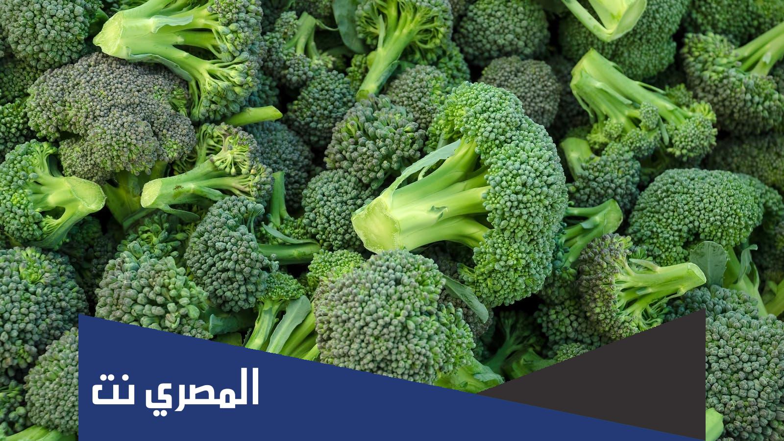 فوائد نبات البروكلي للرجيم