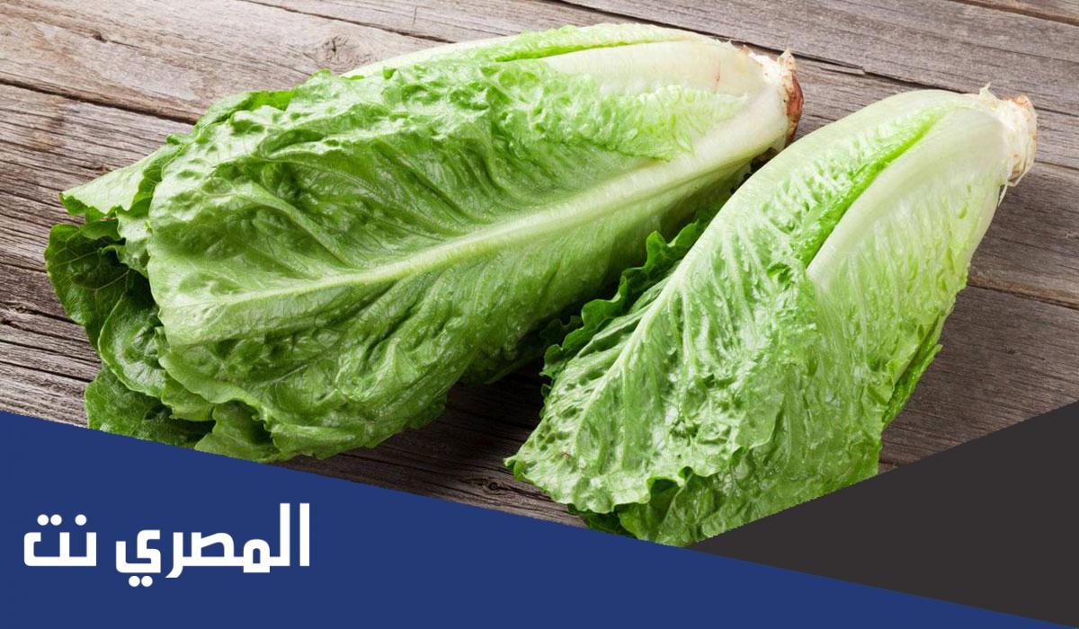 فوائد وأضرار الكابوتشي