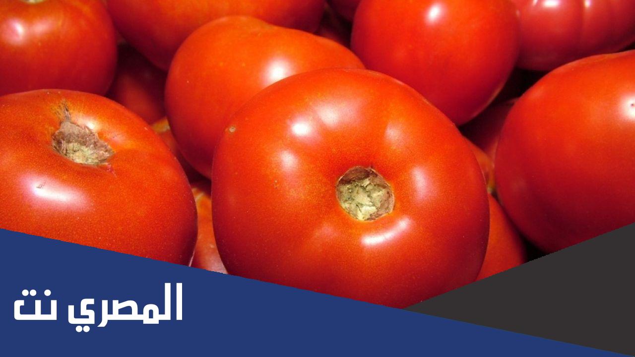 فوائد ومضار بذور الطماطم