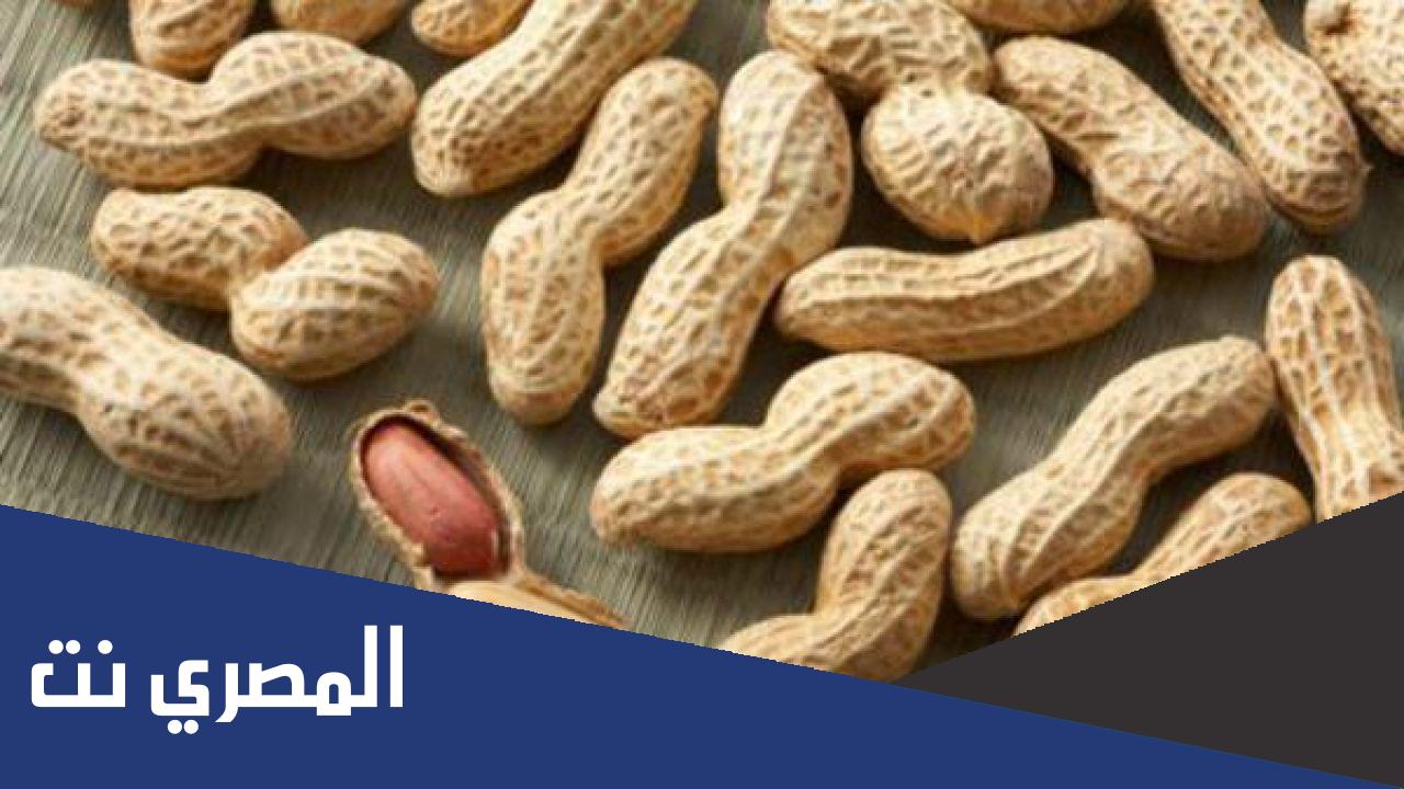 في أي دولة يوجد الفول السوداني