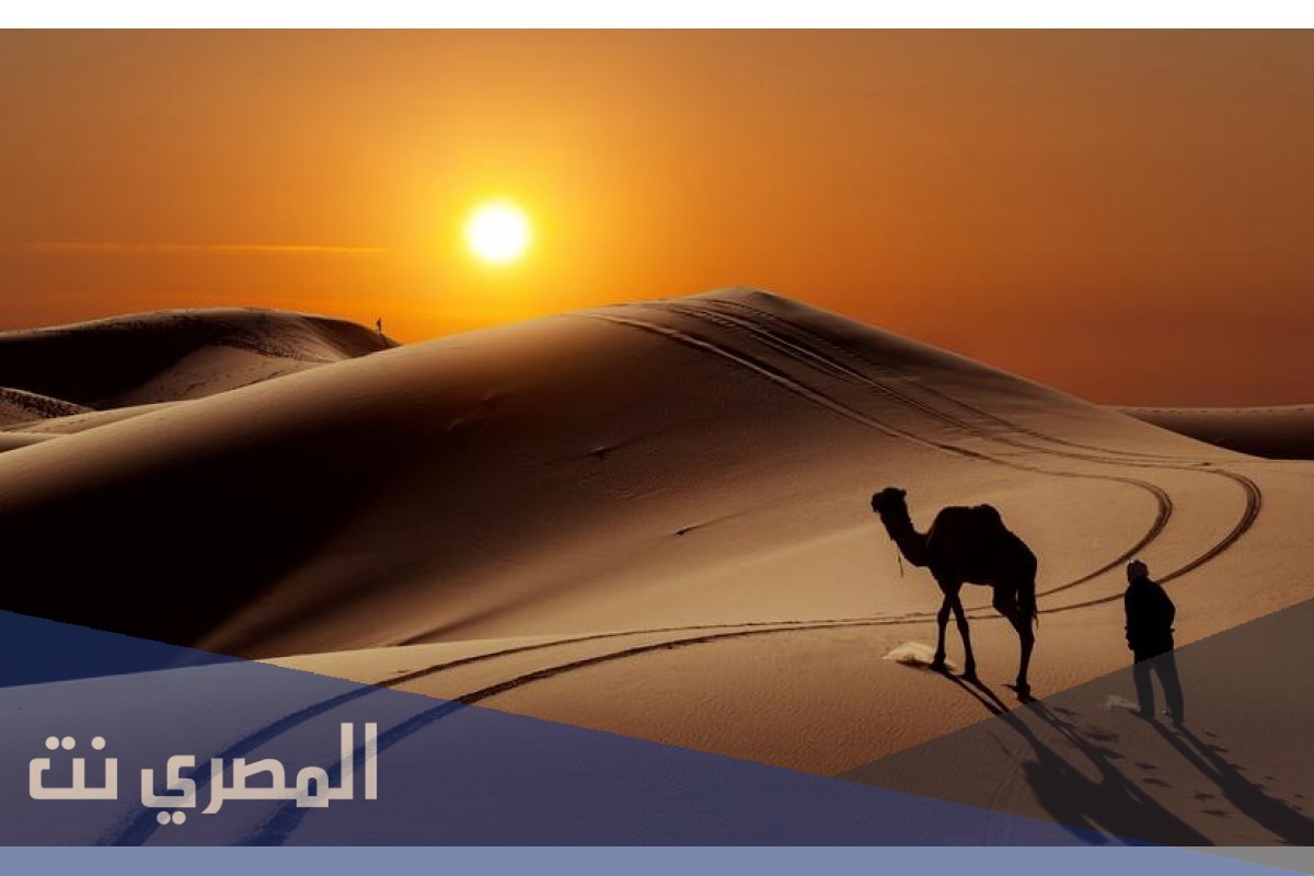 قبيلة العطوي وش يرجعون