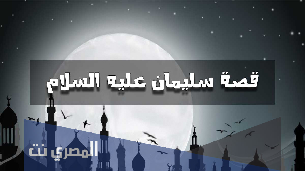قصة سيدنا سليمان كاملة بالتفصيل