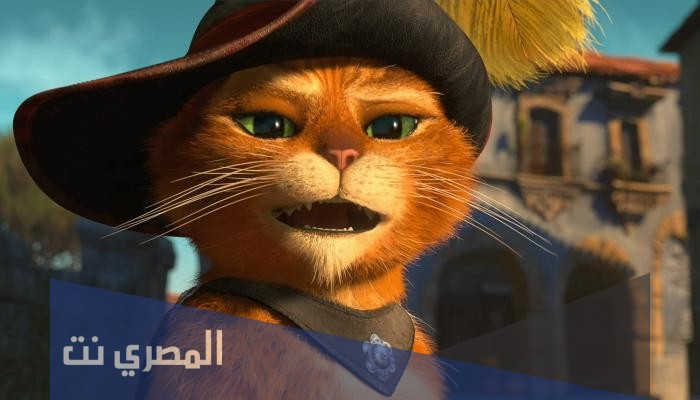 القطه الشرسه مثلت في فيلم