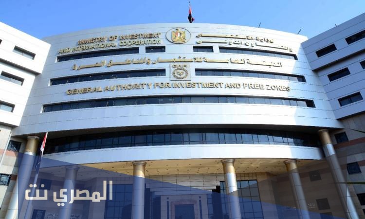 قوانين هيئة الاستثمار المصرية