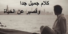 كلام عن الحياة جميل جدا 2025