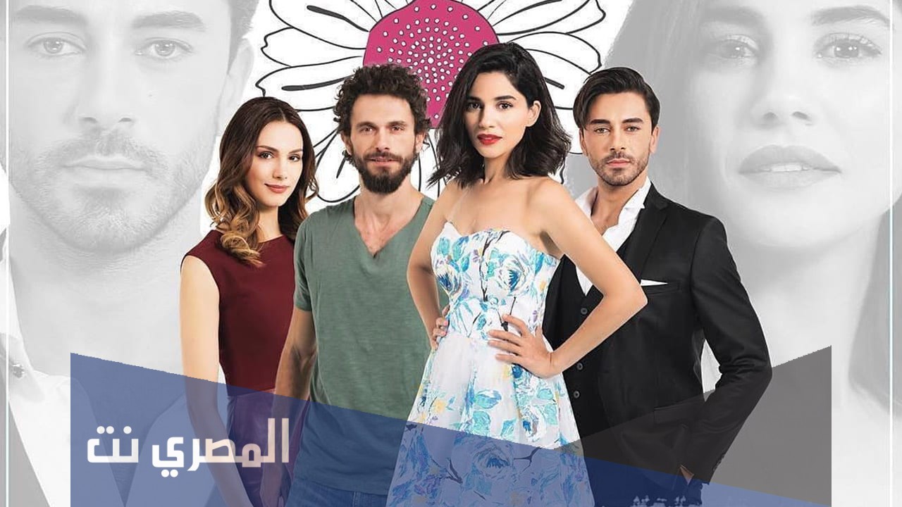 كم عدد حلقات مسلسل هل يحبني التركي