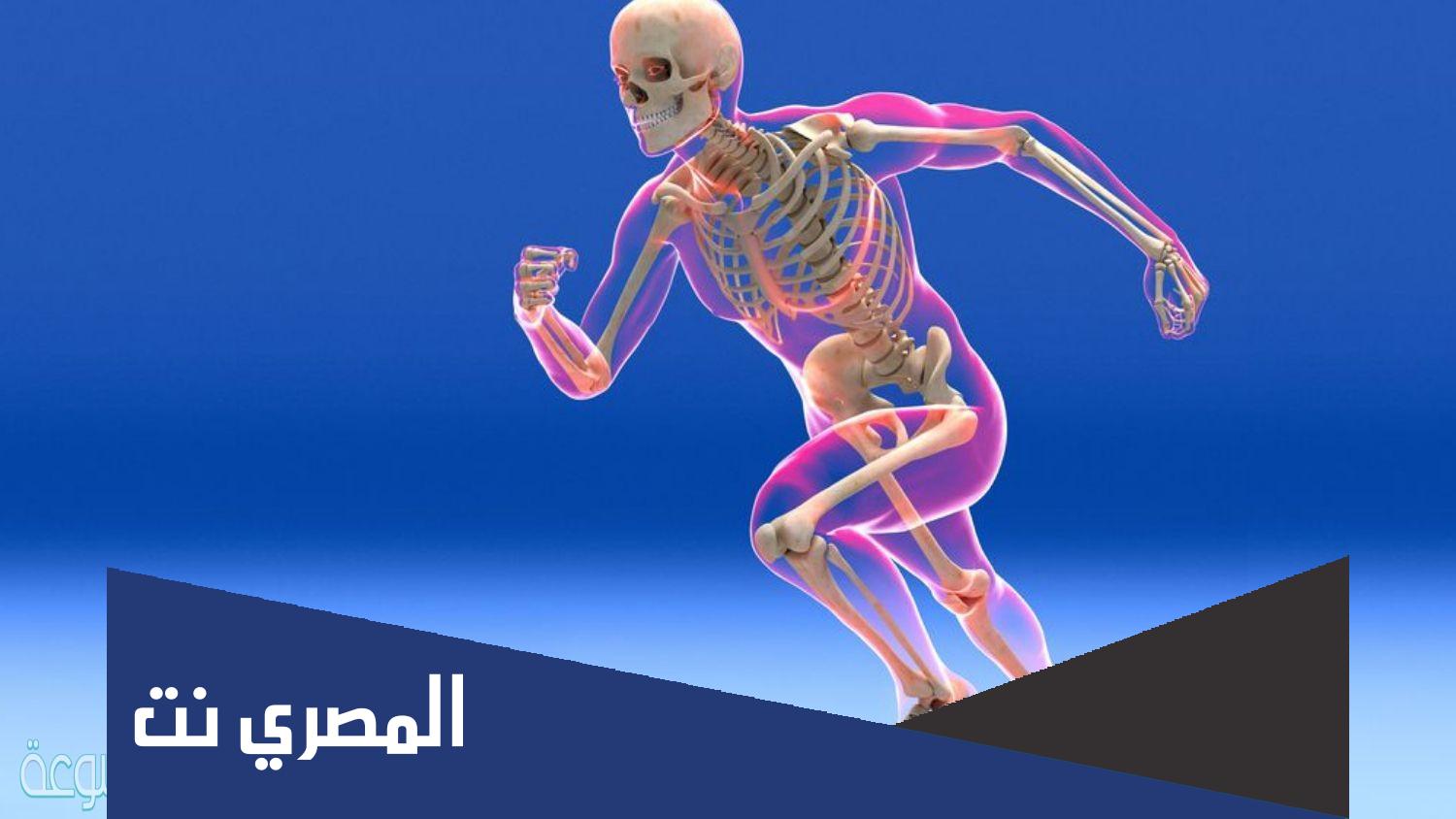كيف تتحرك العضلات والعظام والمفاصل
