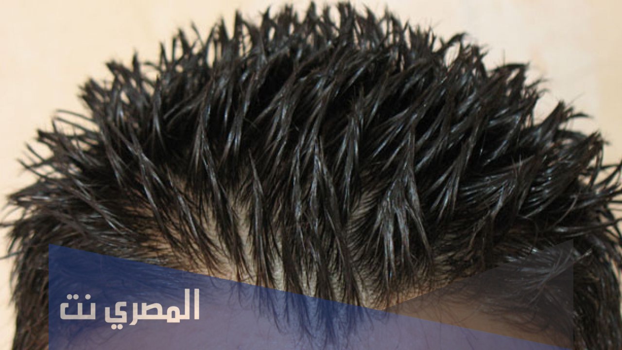 كيف تصنع جل للشعر