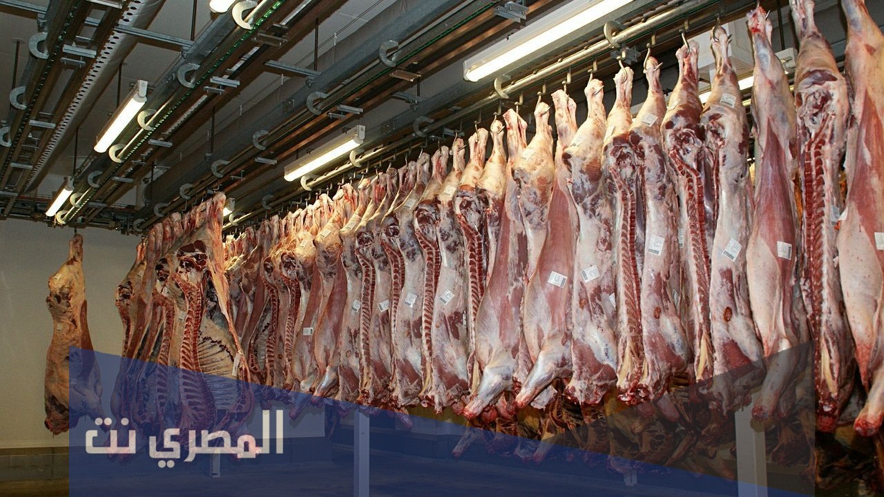 كيف يتم توزيع الاضحية شرعا