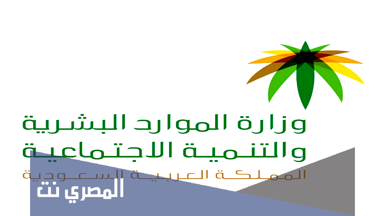 كيفية التسجيل في الضمان الاجتماعي عن طريق النت