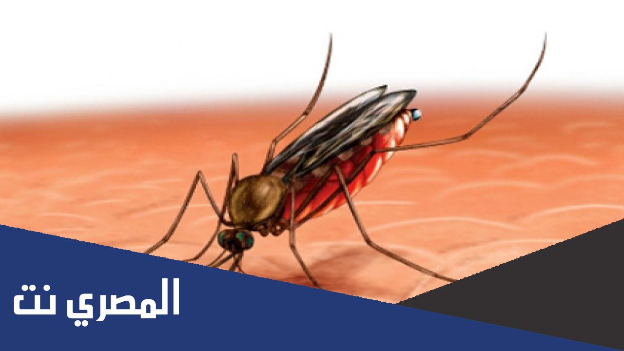 كيفية الوقاية من الملاريا