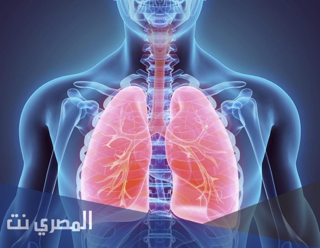 كيفية تنقية الجهاز التنفسي