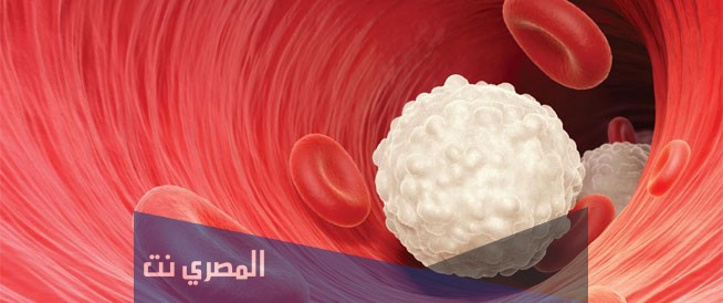 كيفية زيادة كريات الدم البيضاء