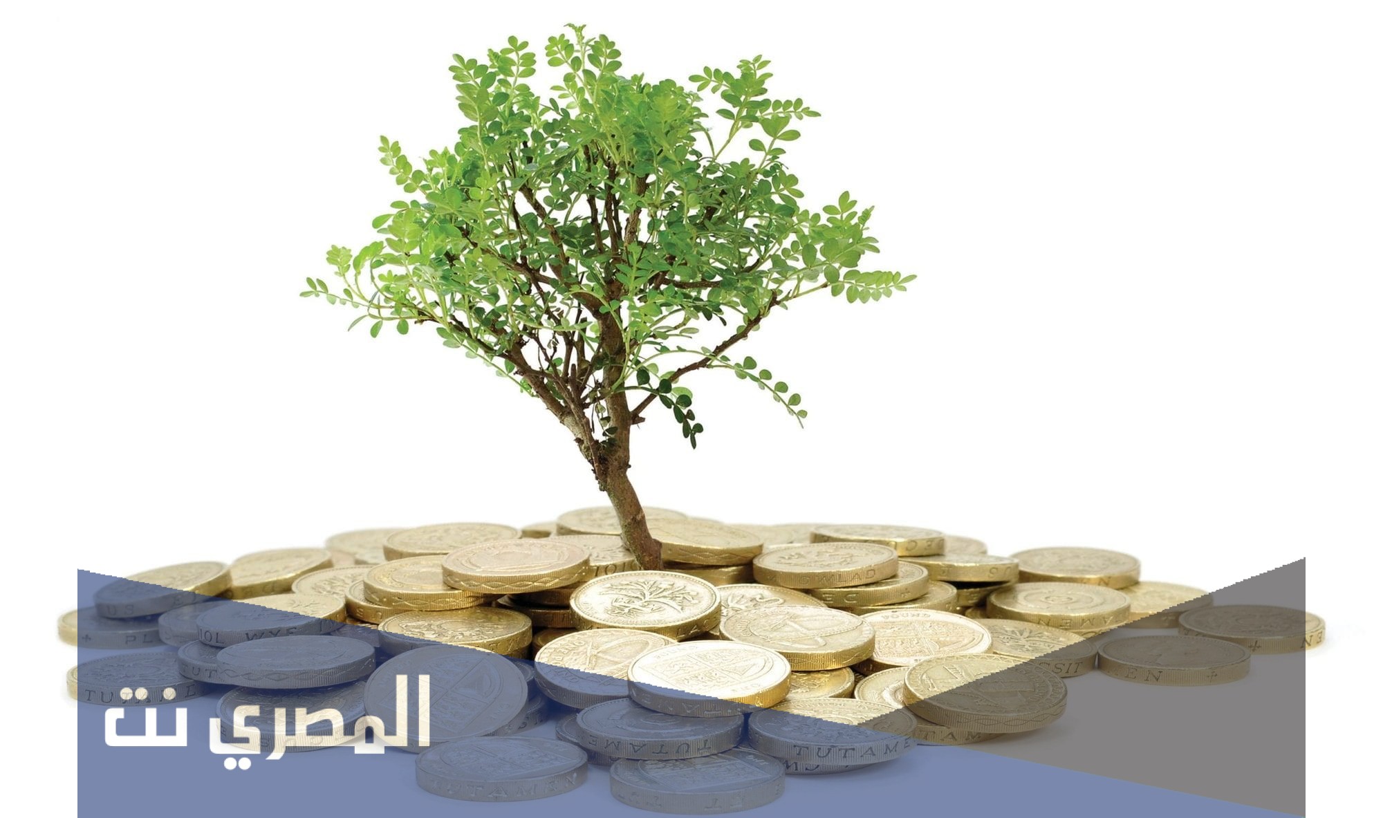 كيفية طلب مساعدة من جمعية تراحم الخيرية