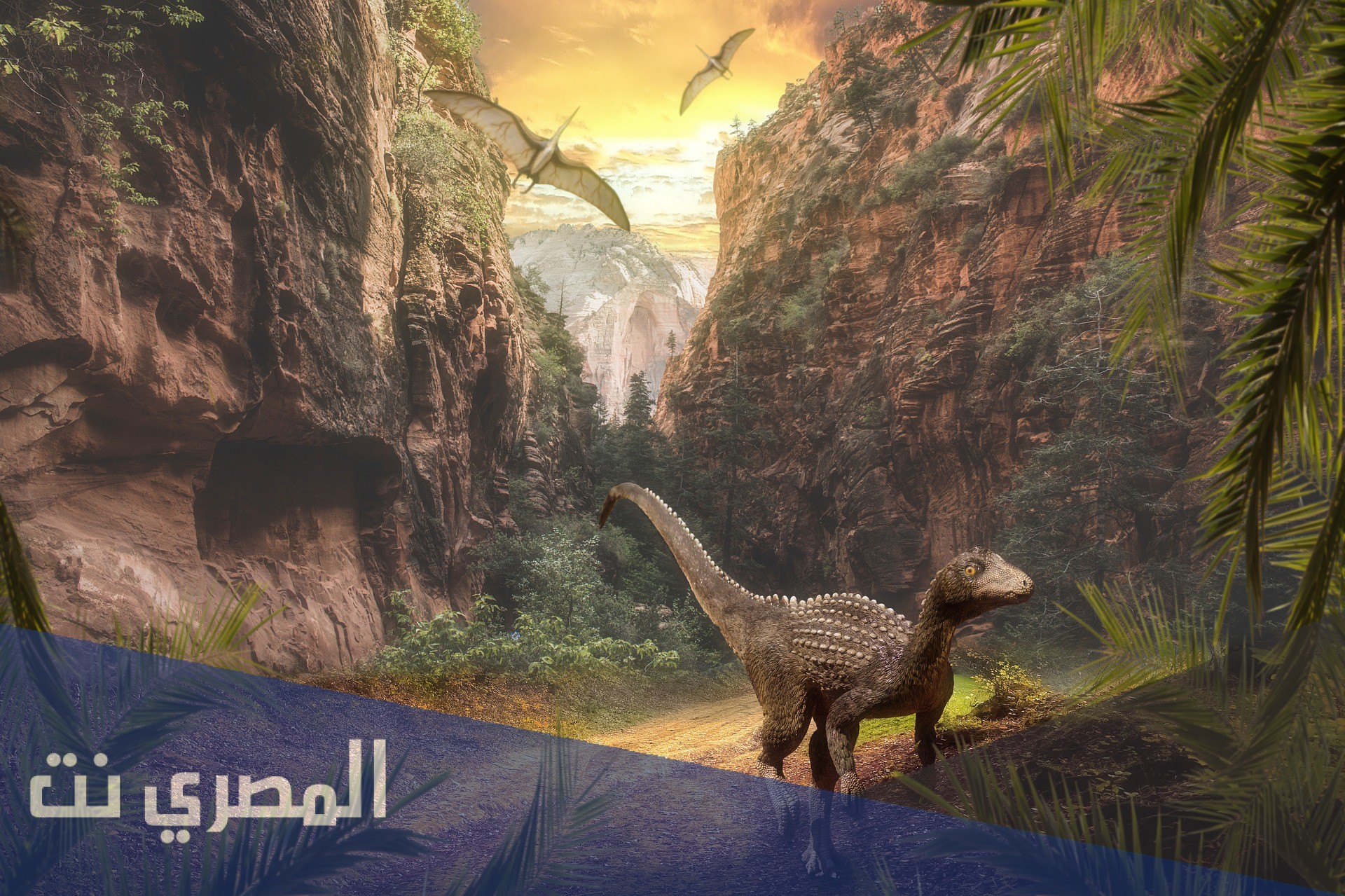 ما اطول وحدات الزمن الجيولوجي