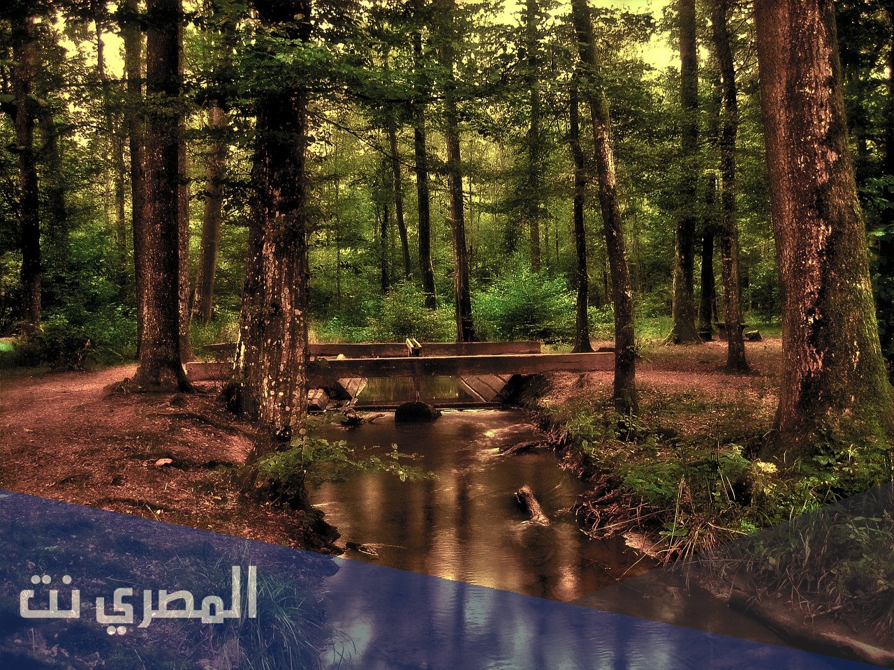 ما الاسم الذي يطلق على منتصف حقبة الحياة القديمة