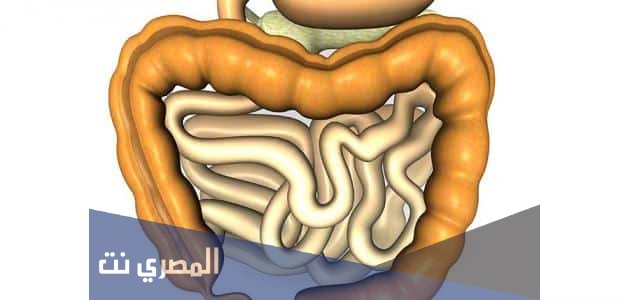 ما الفرق العلاجي بين كابكت وكابكت مركب