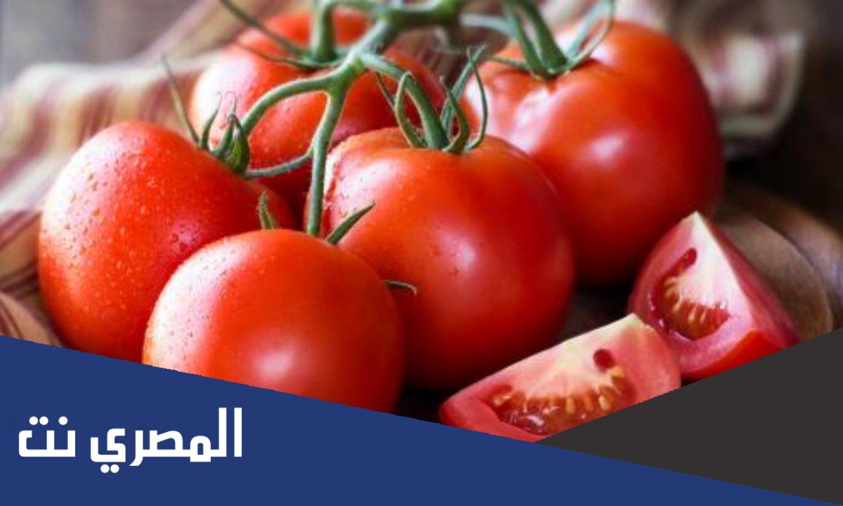 ما عدد السعرات الحرارية في الطماطم