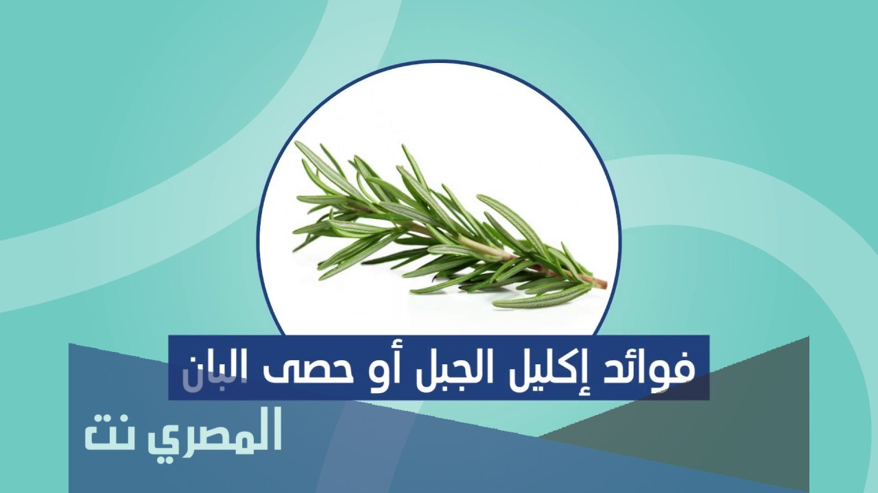 ما لا تعرفه عن فوائد إكليل الجبل