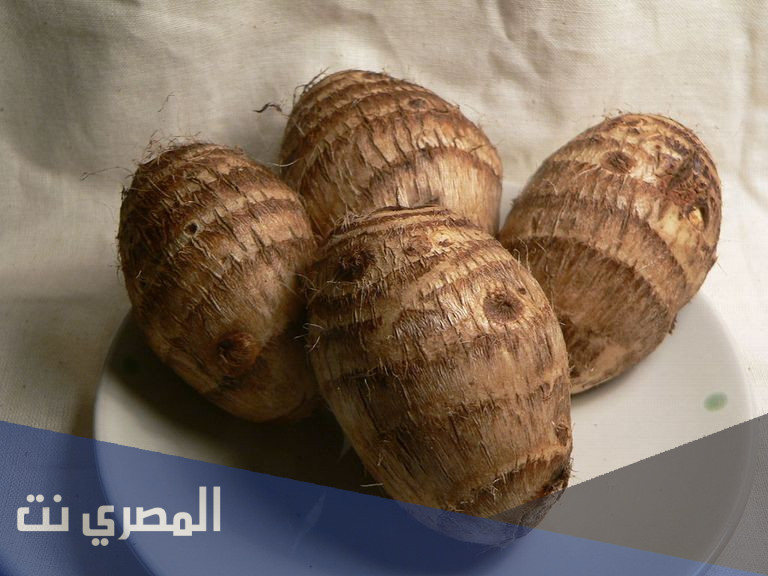 ما لا تعرفه عن فوائد القلقاس