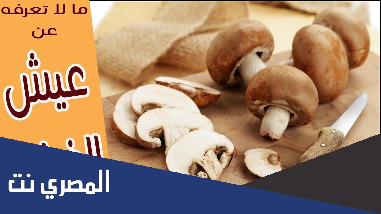 ما لا تعرفه عن فوائد عيش الغراب
