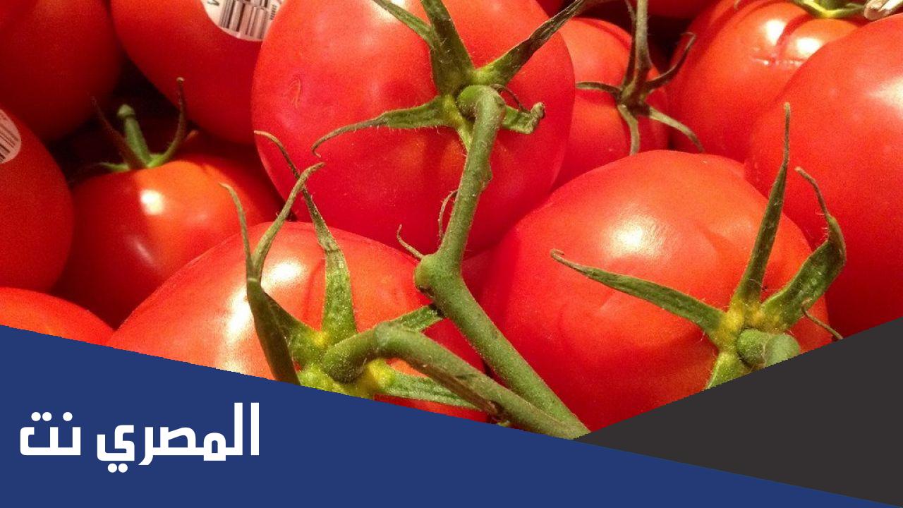 ما هو اصل كلمة طماطم