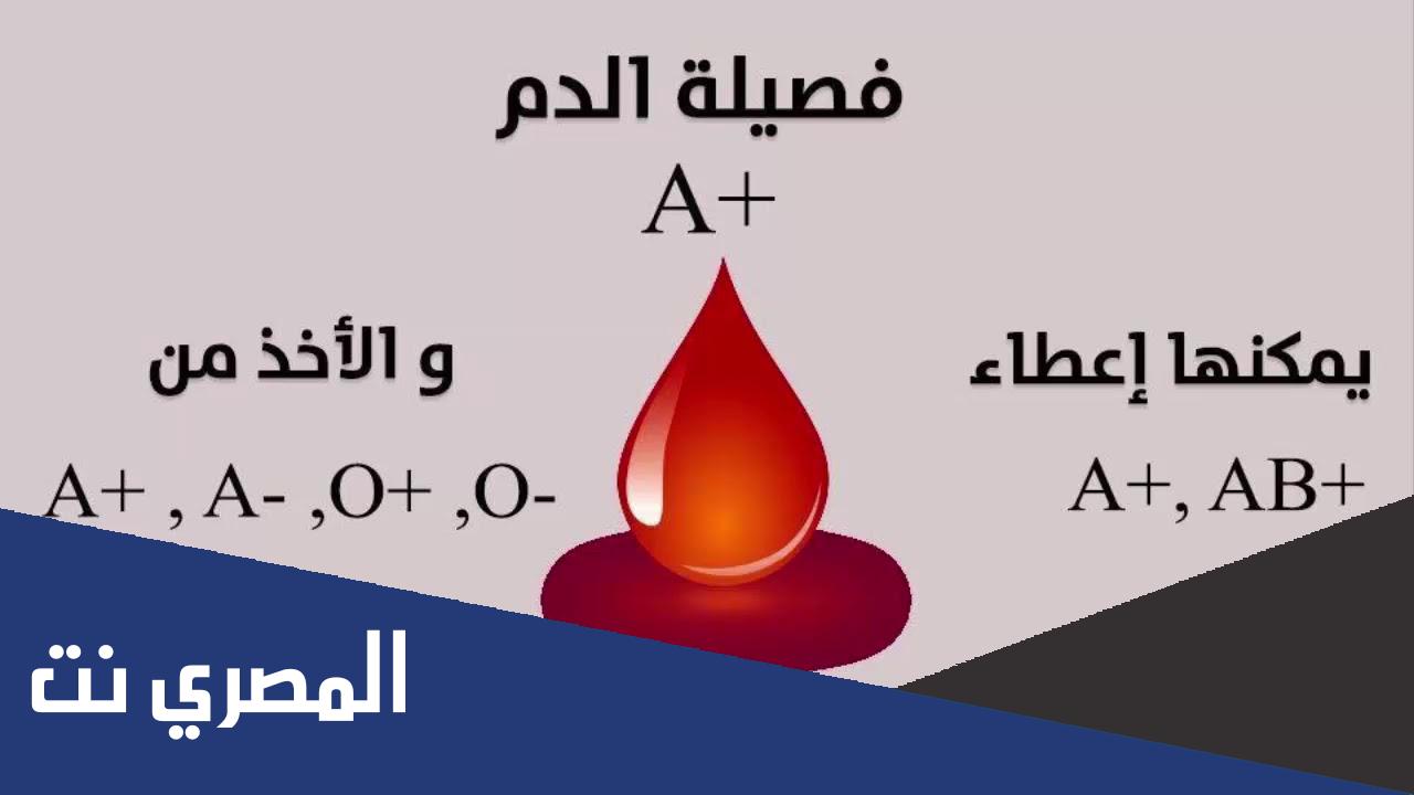 ما هو الفرق بين فصائل الدم