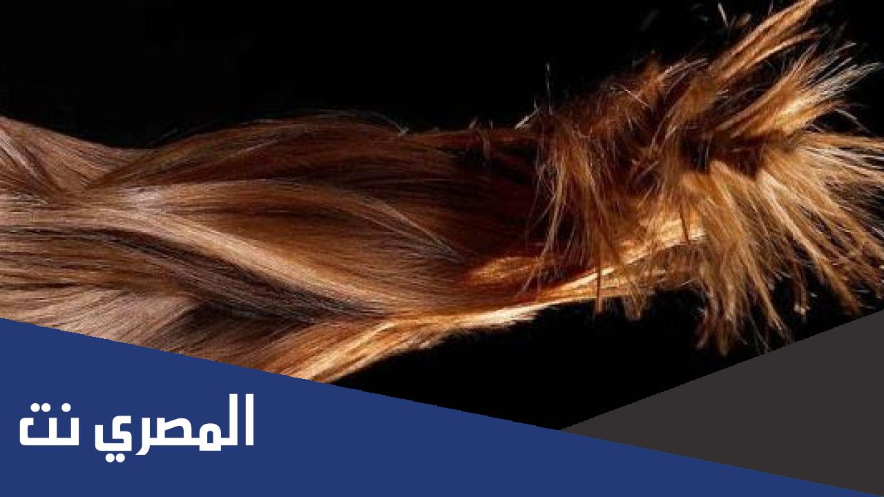 ما هو الفيتامين الذي يساعد على تقوية الشعر