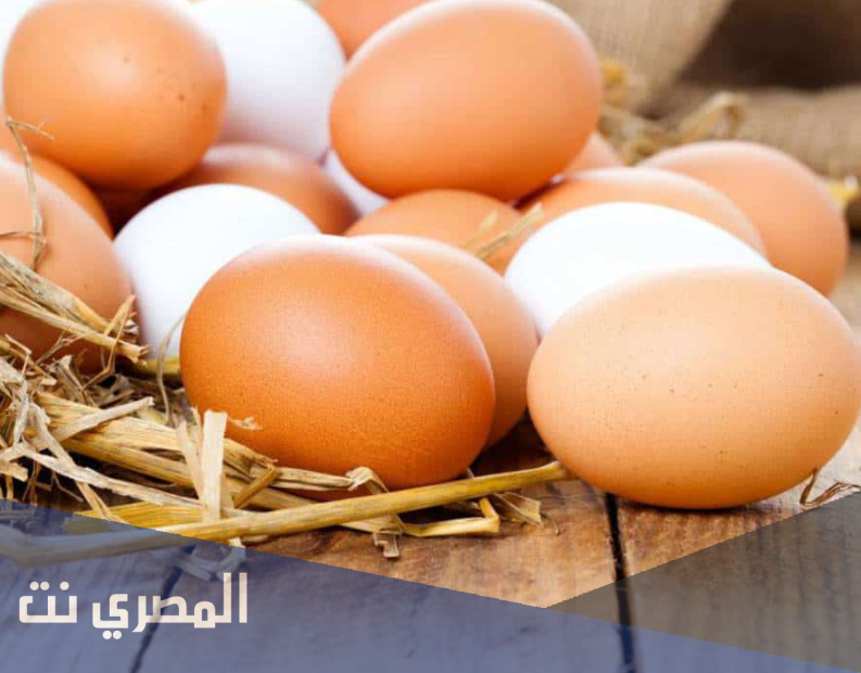 ما هو تفسير رؤية البيض في المنام لابن سيرين