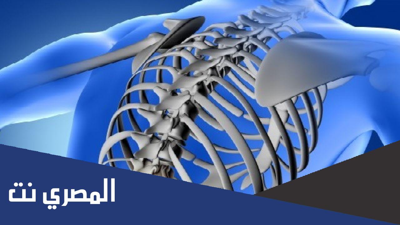 ما هو عدد أضلاع القفص الصدري