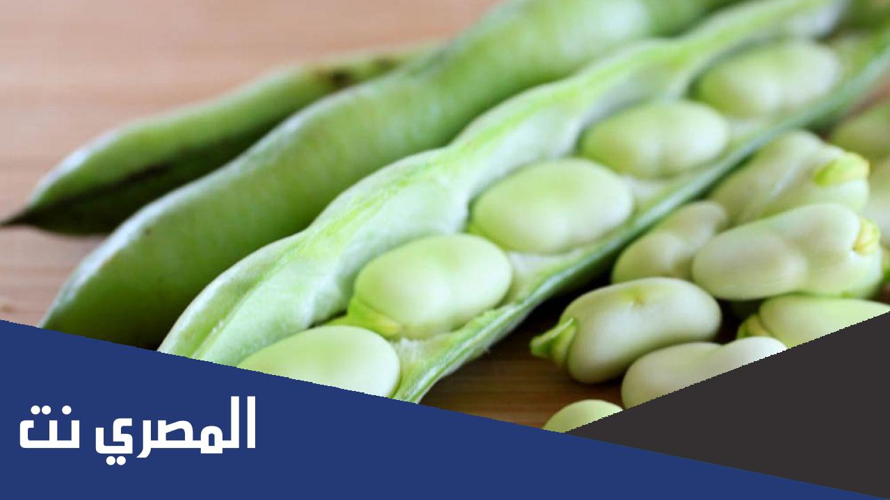 ما هو فقر دم الباقلاء