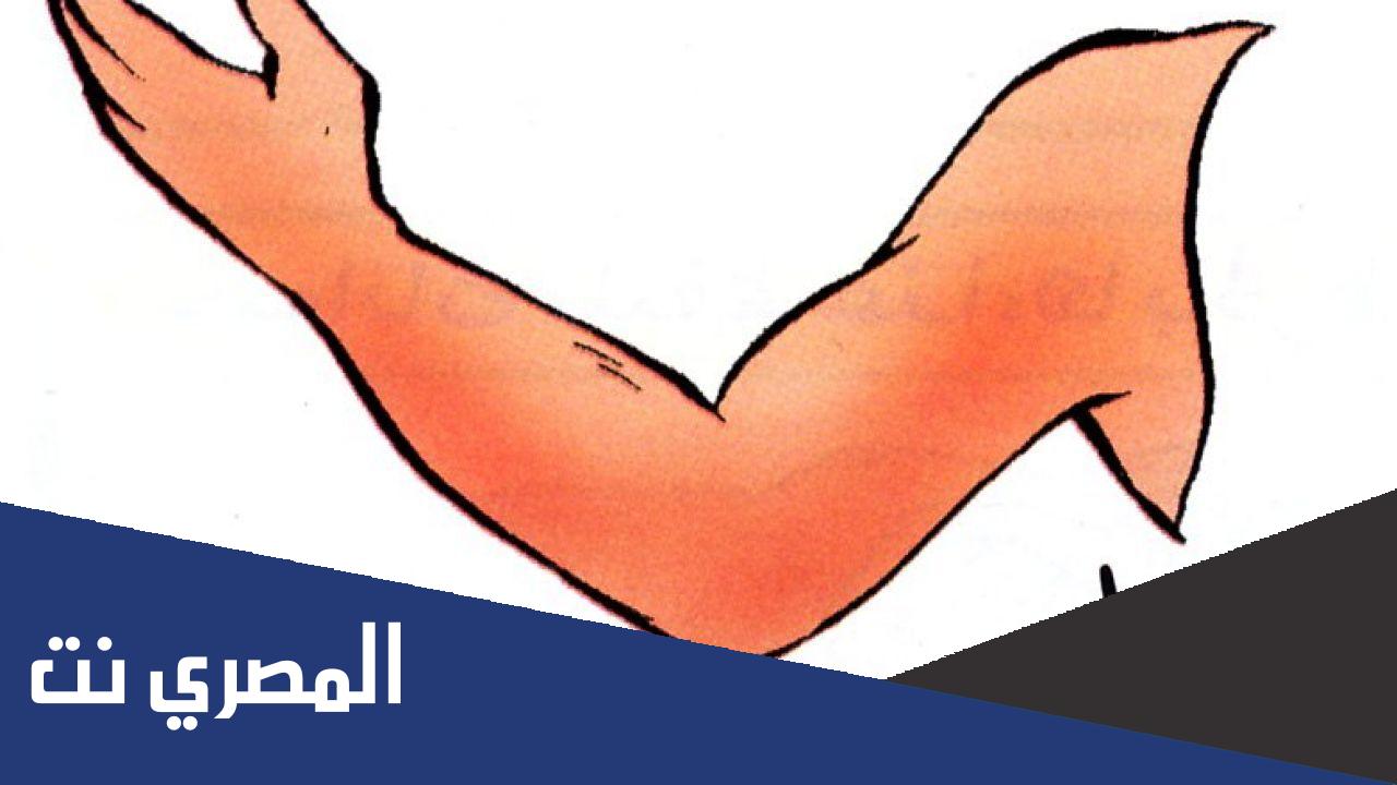 ما هو نوع مفصل المرفق