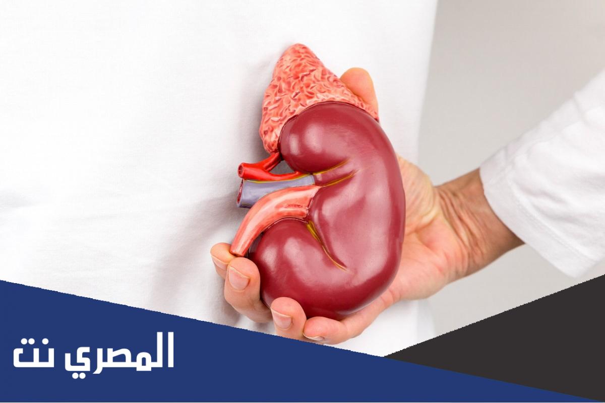 ما هي أسباب تضخم الكلى ؟