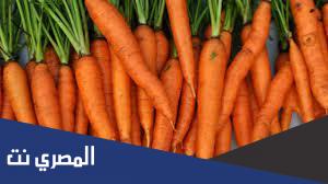 ما هي أضرار الجزر وفوائده