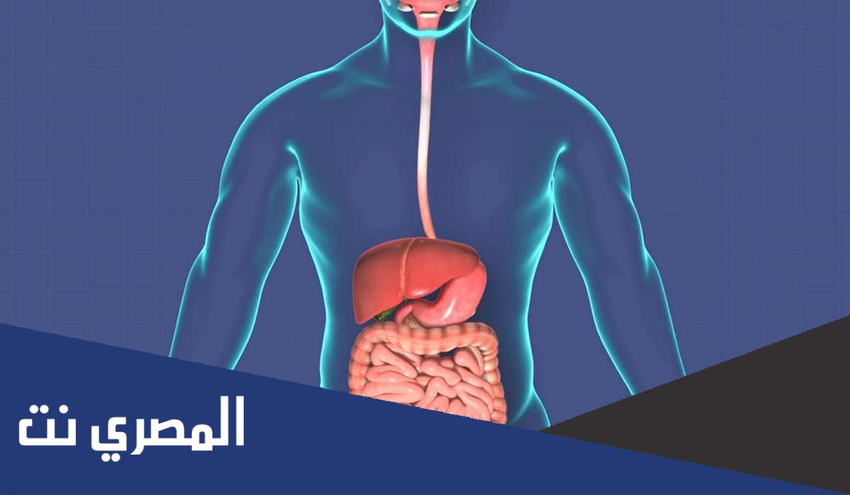 ما هي أنواع أمراض الجهاز الهضمي ؟