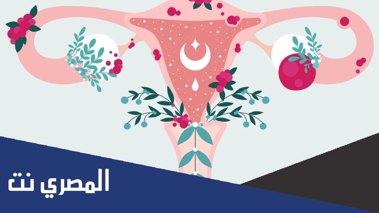 ما هي الأمراض التي تصيب عنق الرحم
