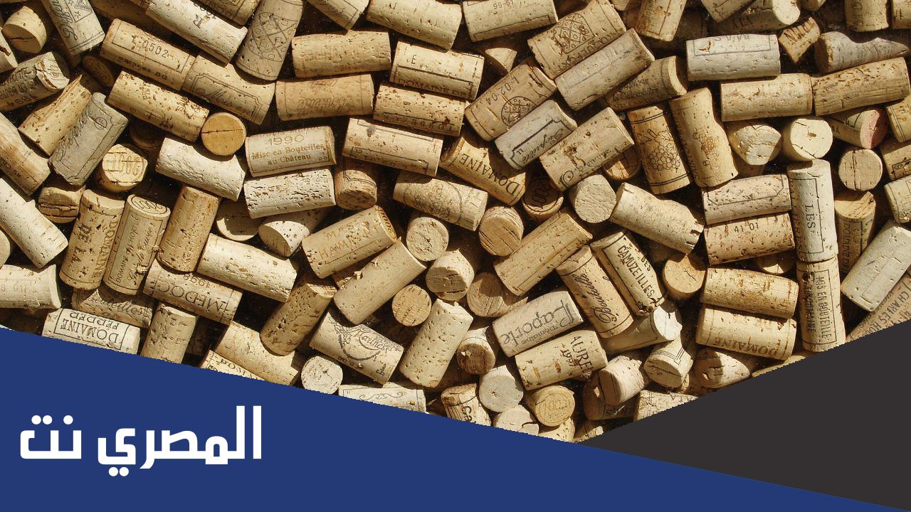 ما هي الشجرة التي يستخرج منها الفلين