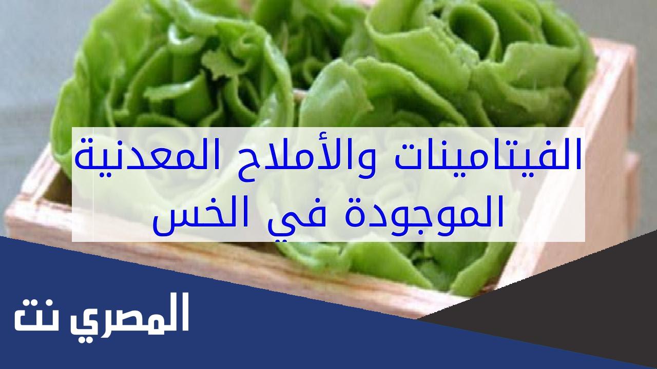 ما هي الفيتامينات والأملاح المعدنية الموجودة في الخس