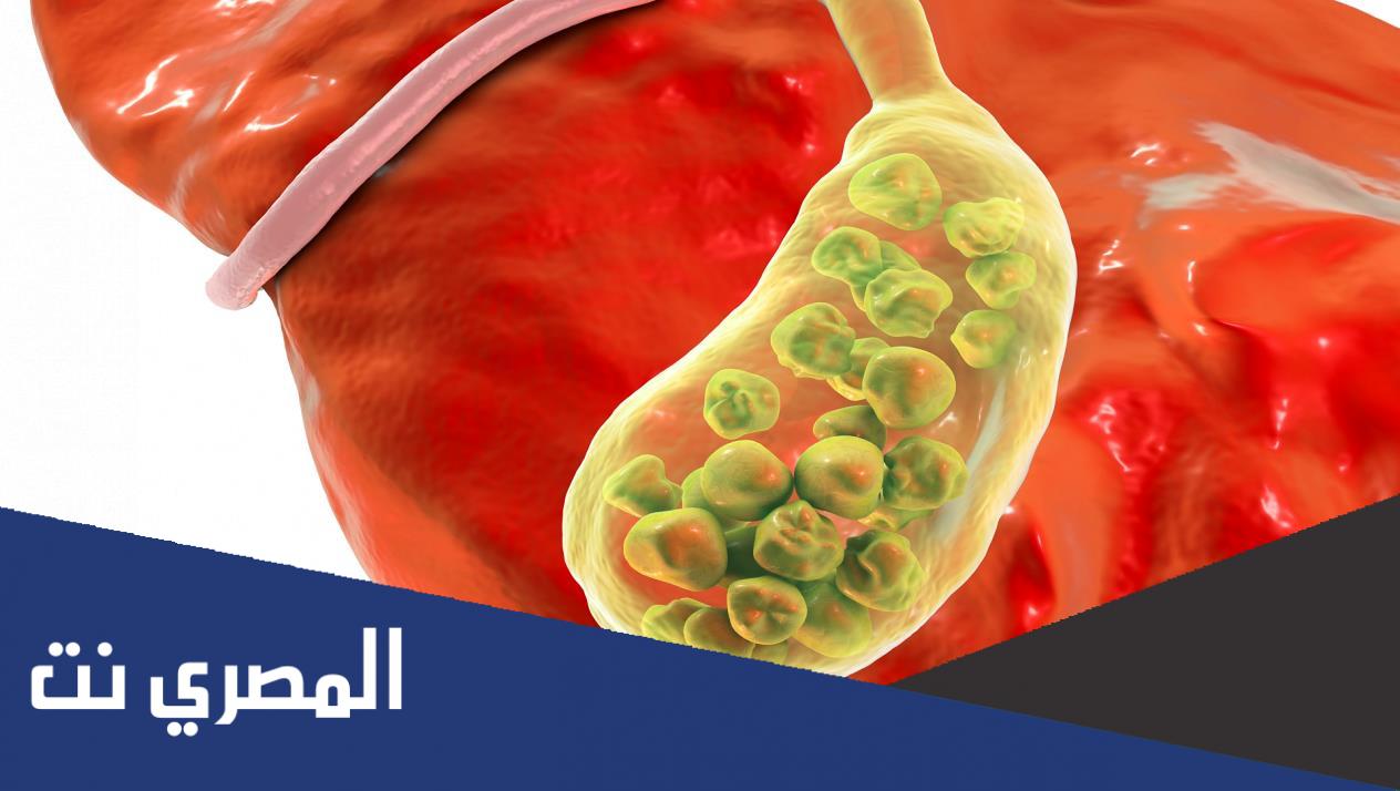 ما هي المرارة وما وظيفتها