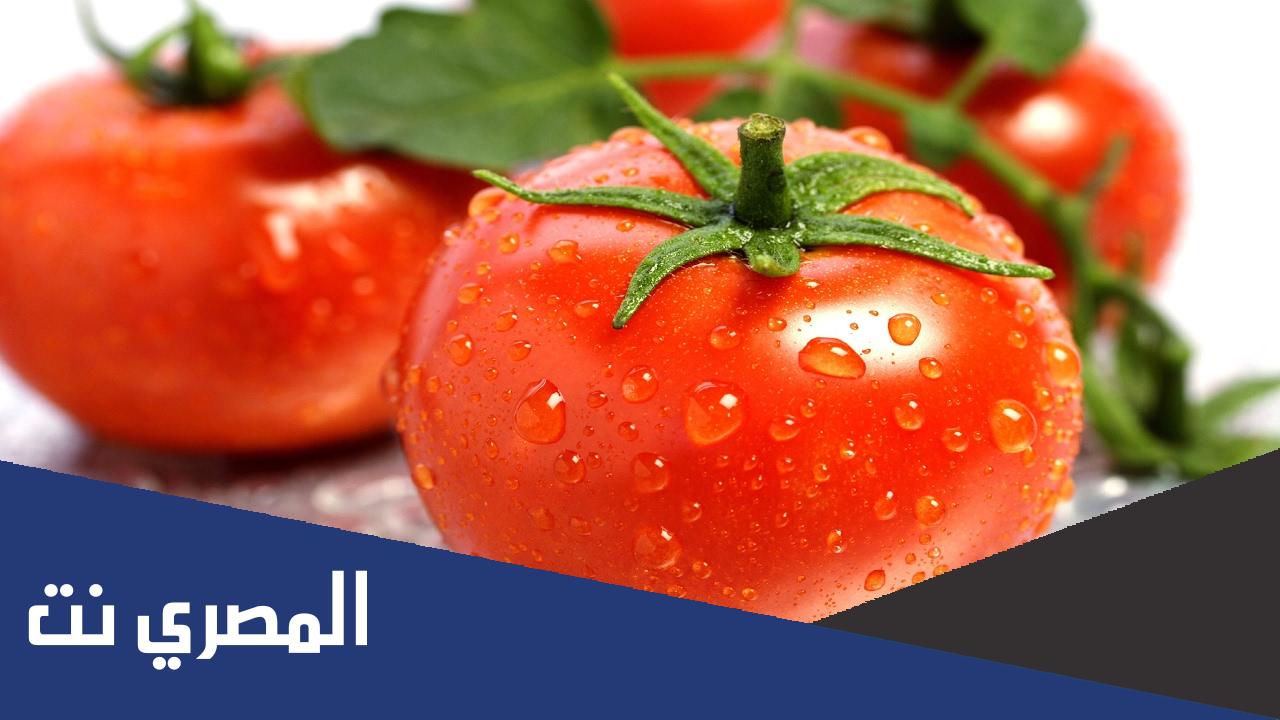 ما هي فوائد أكل الطماطم على الريق