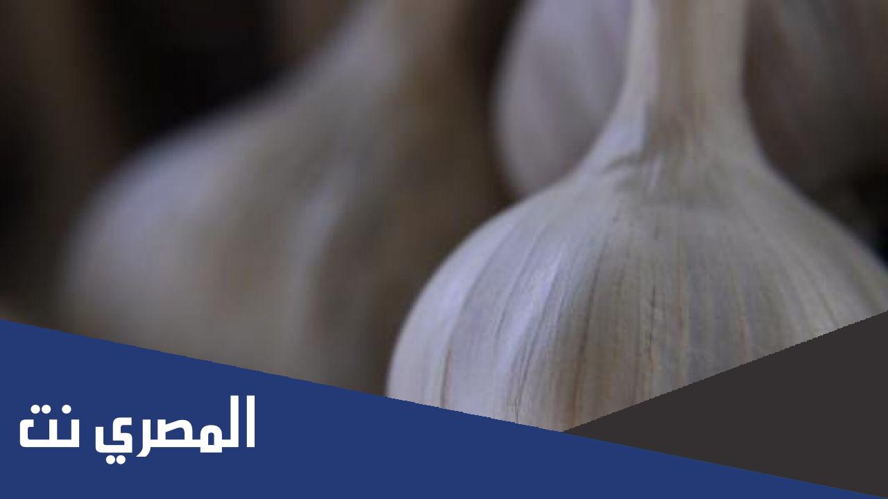 ما هي فوائد الثوم المطحون