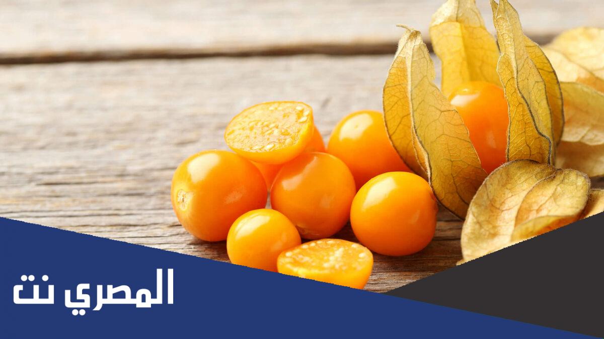 ما هي فوائد الحرنكش الصحية وأضراره ؟