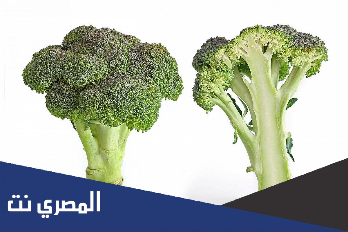ما هي فوائد نبات البروكلي