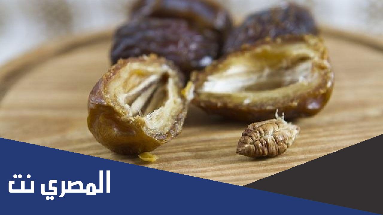 ما هي فوائد نواة التمر
