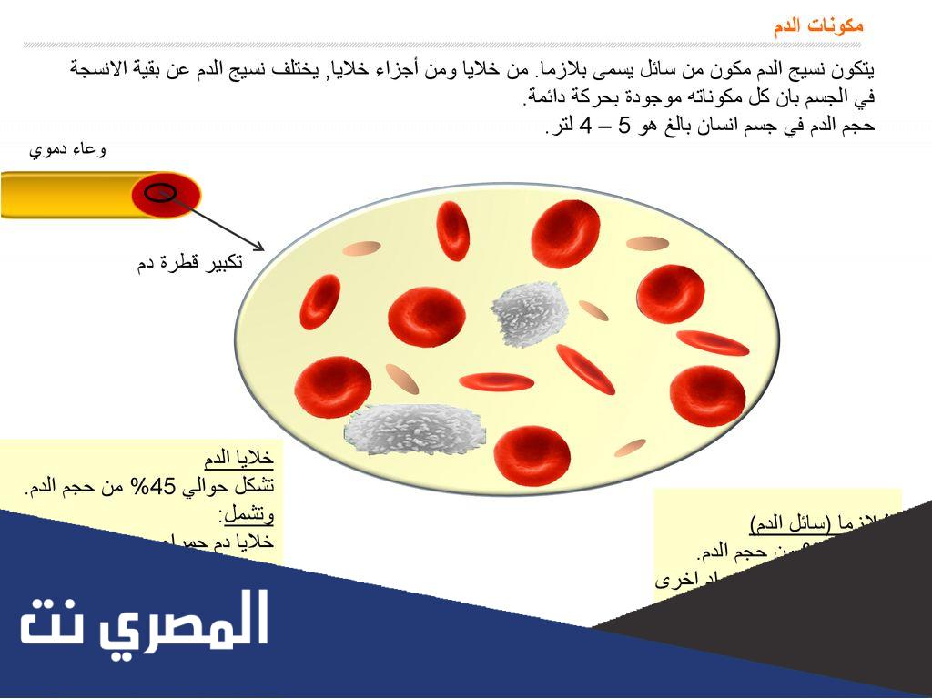 ما هي مكونات الدم ووظائفها
