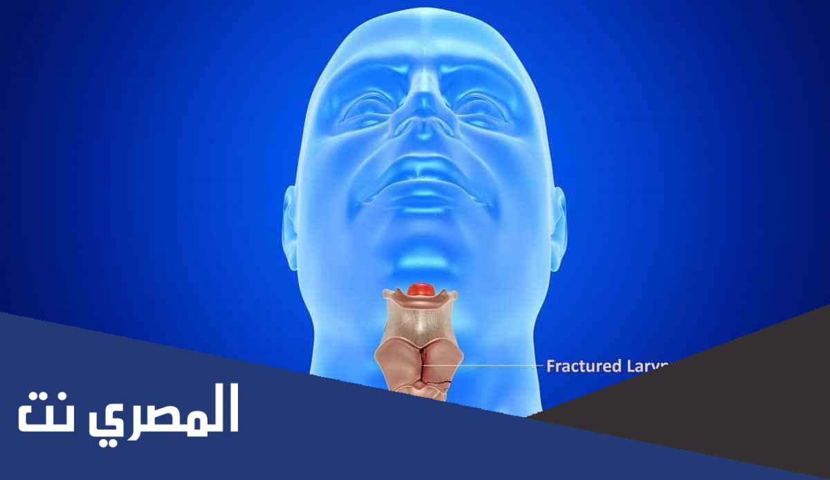 ما هي وظيفة الحنجرة ؟