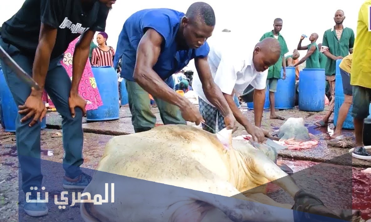 ماذا نقول عند ذبح أضحية العيد