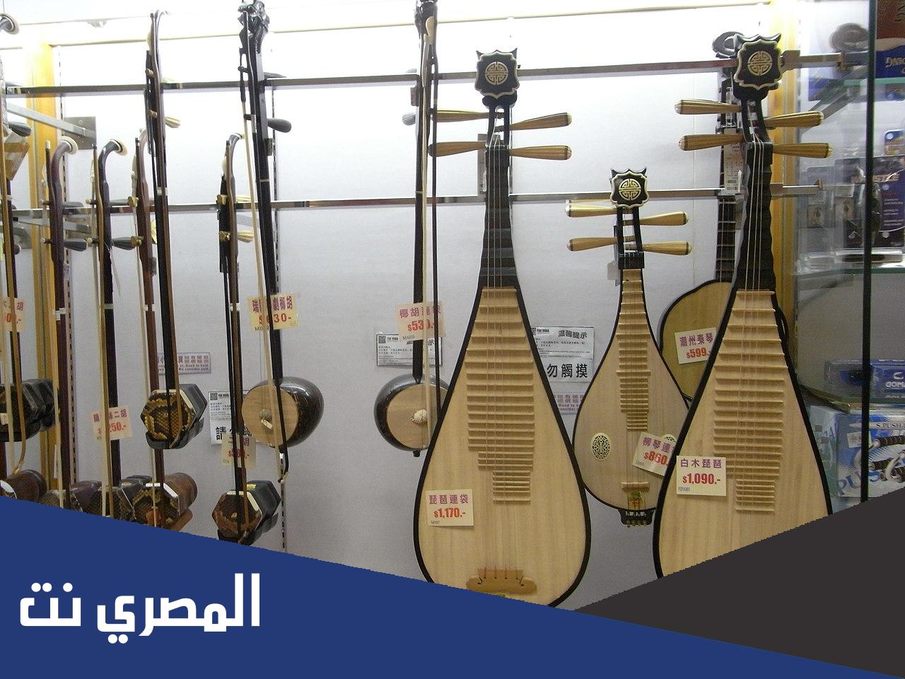 ماذا يسمى صوت الاوتار في الشعر