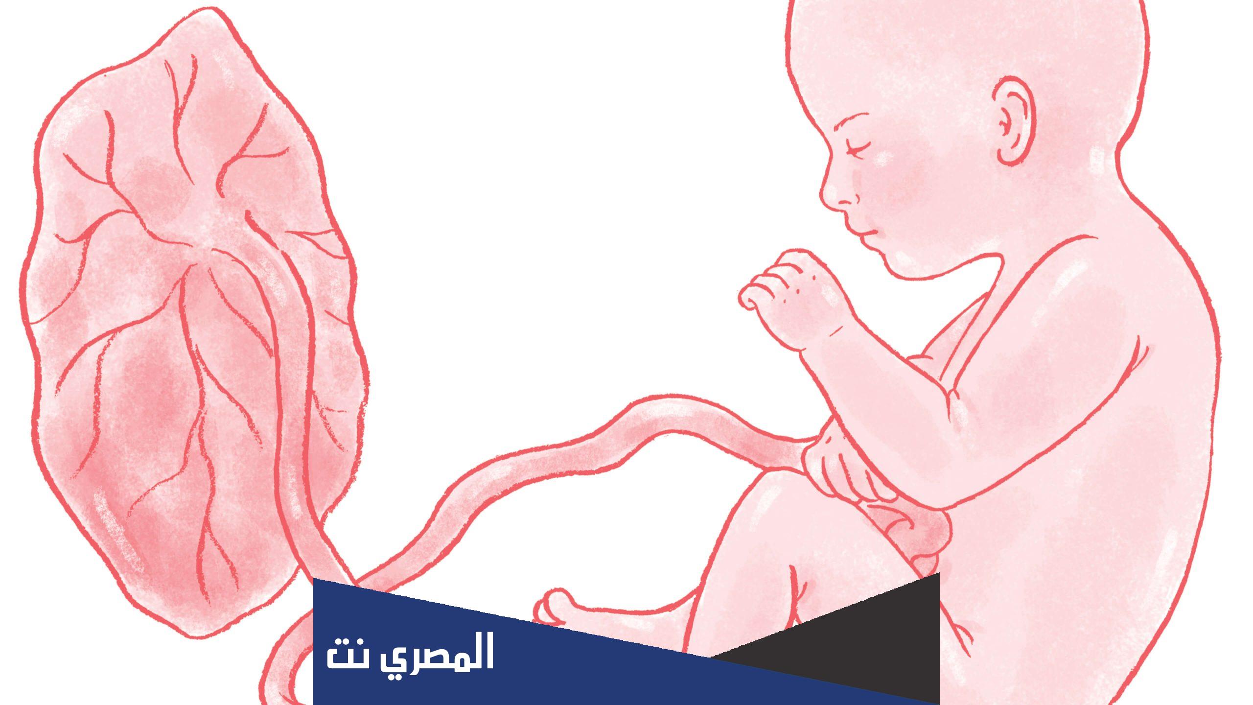 ماذا يسمى غشاء الجنين عند الولادة ؟