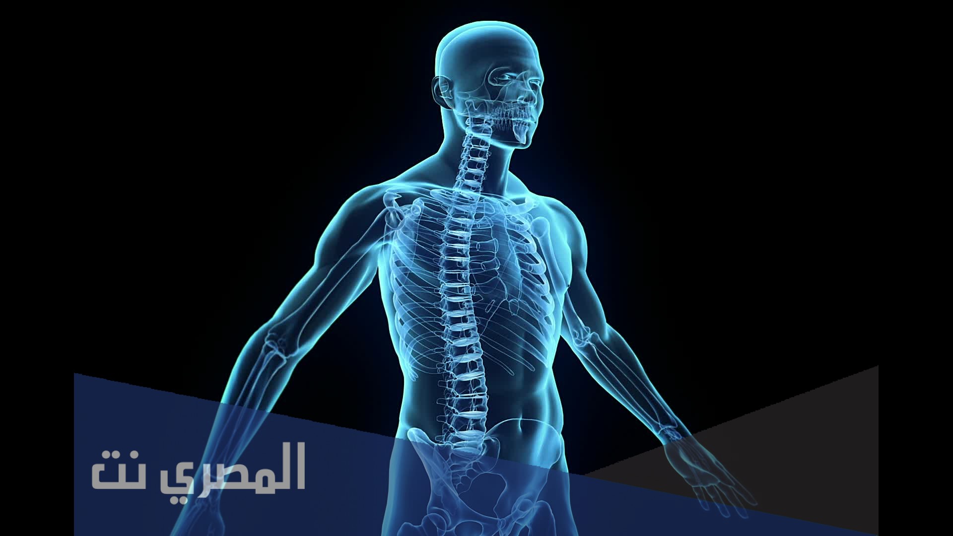 ما هي الاعضاء التي لا يحتاجها الانسان